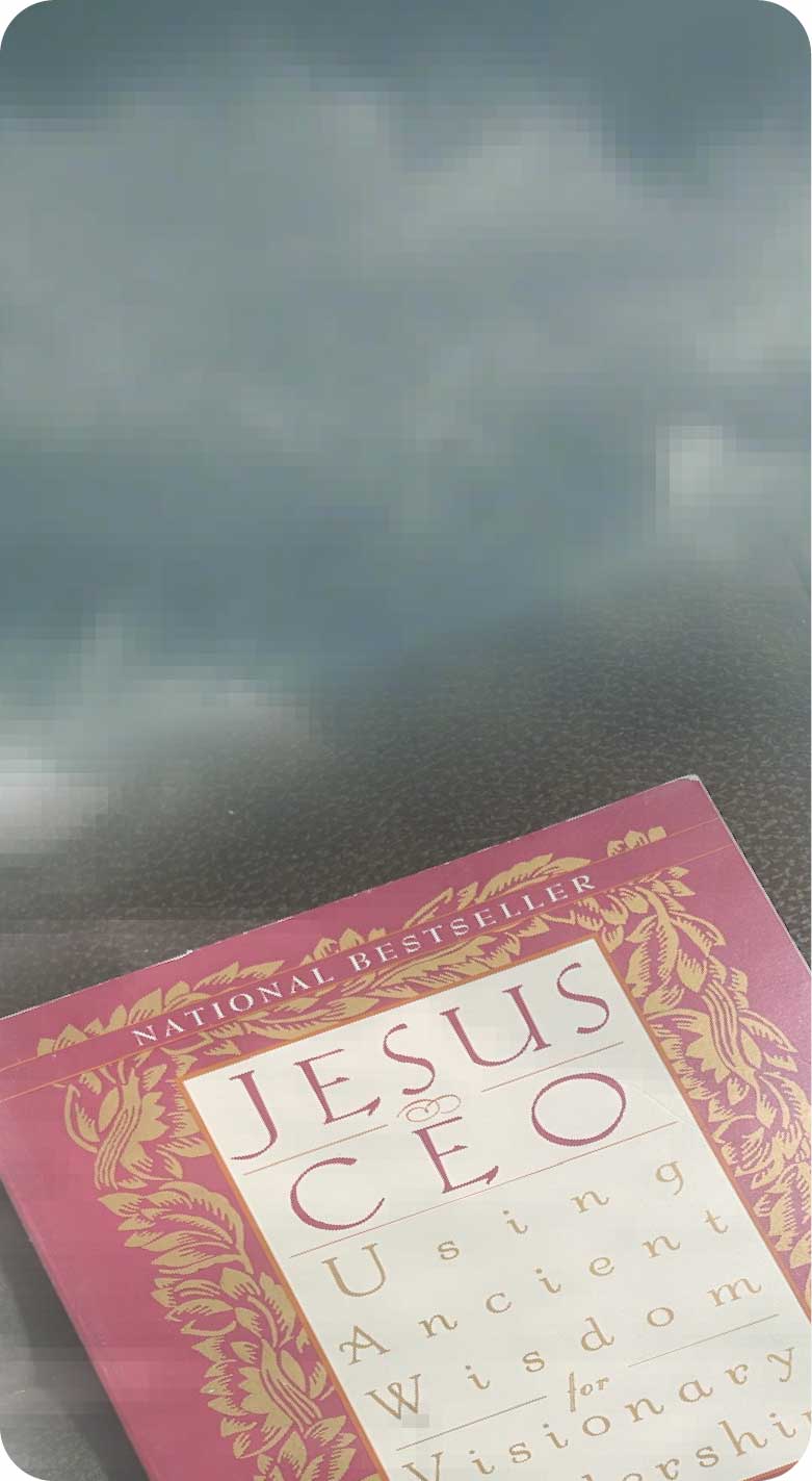 Jesus CEO book