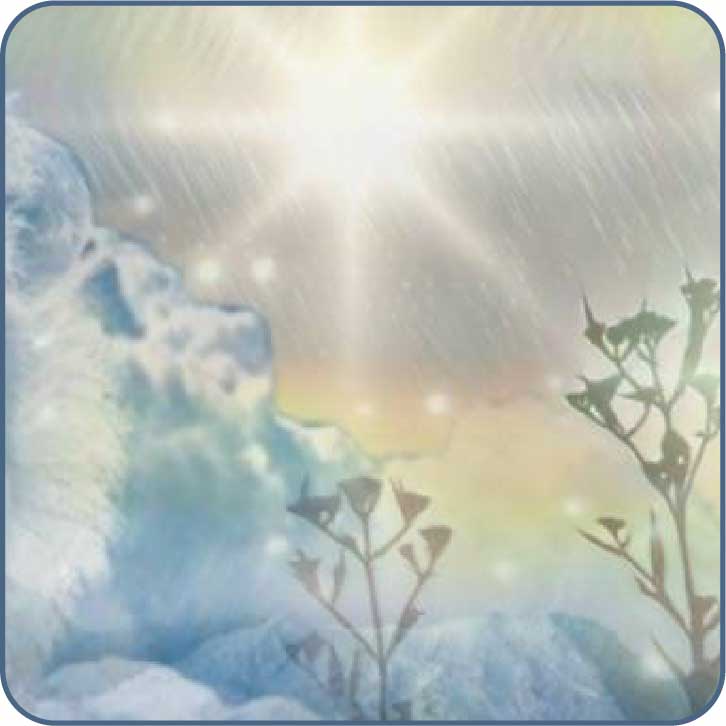 heavenly light with plants and clouds